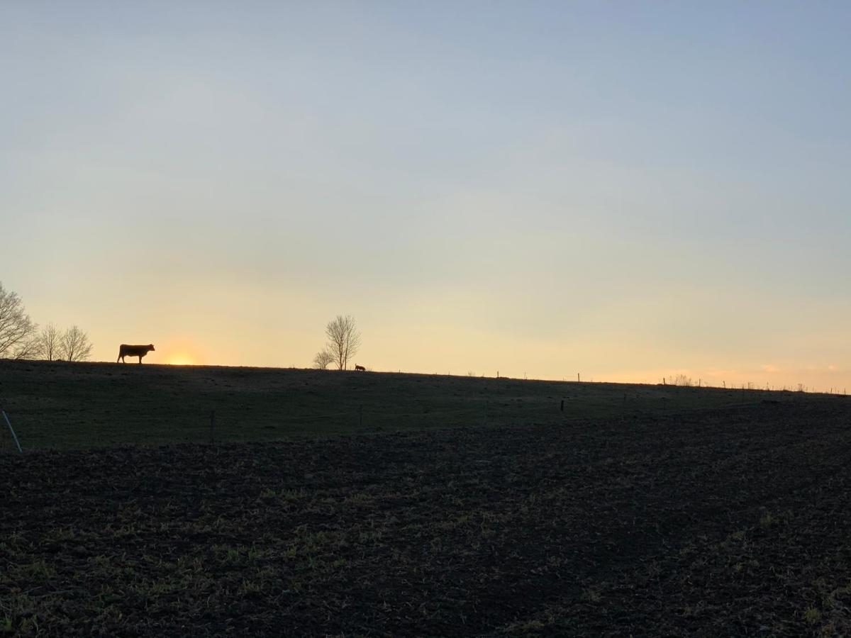 Zacisze Maciejowiec