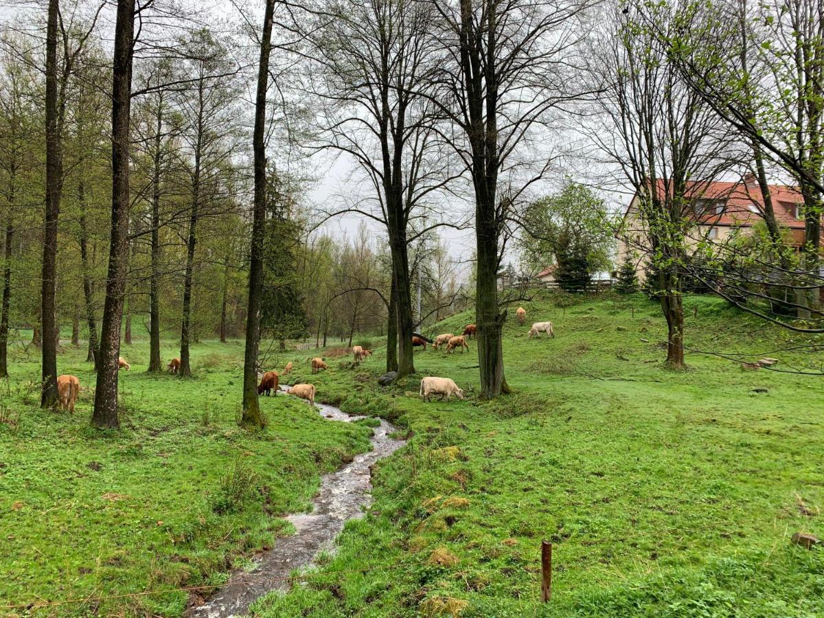 Zacisze Bauernhof Maciejowiec